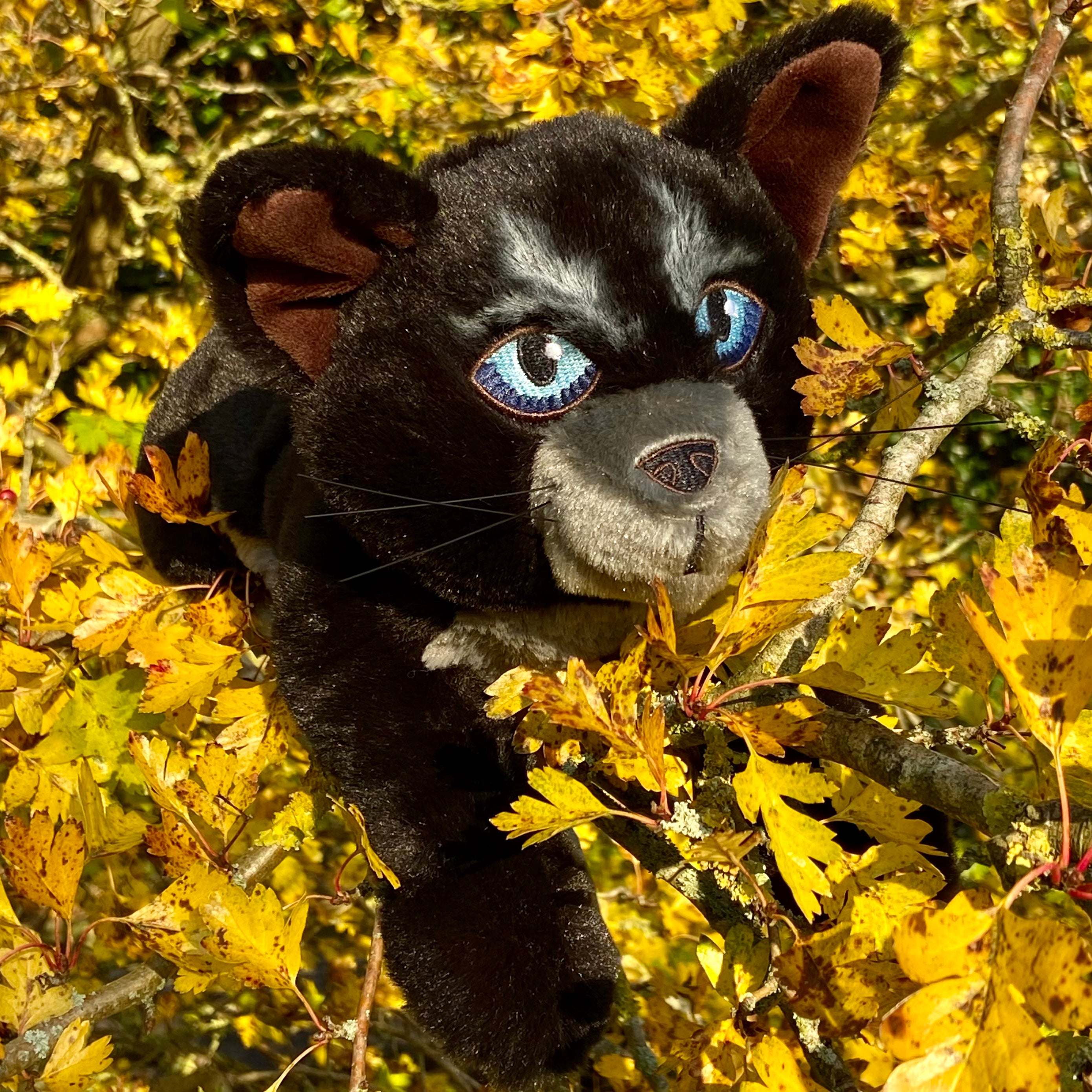 Jayfeather Large Plush Cat