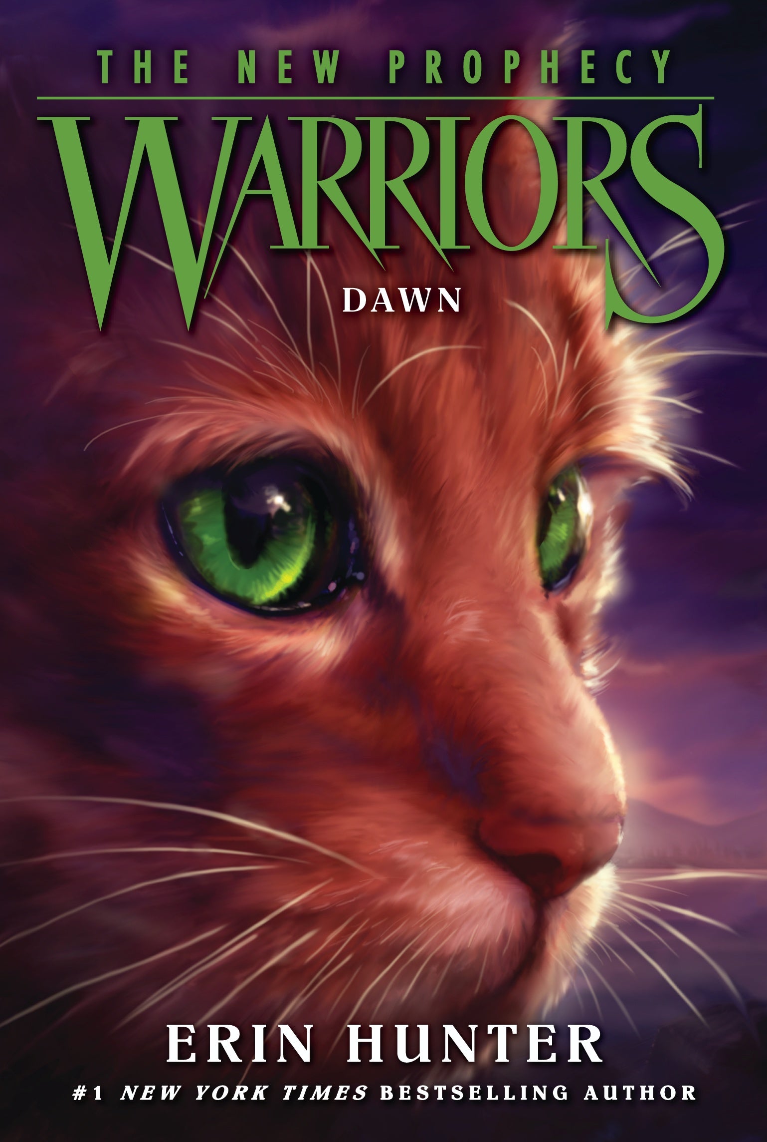 Warrior cats by Erin Hunter, Paperback