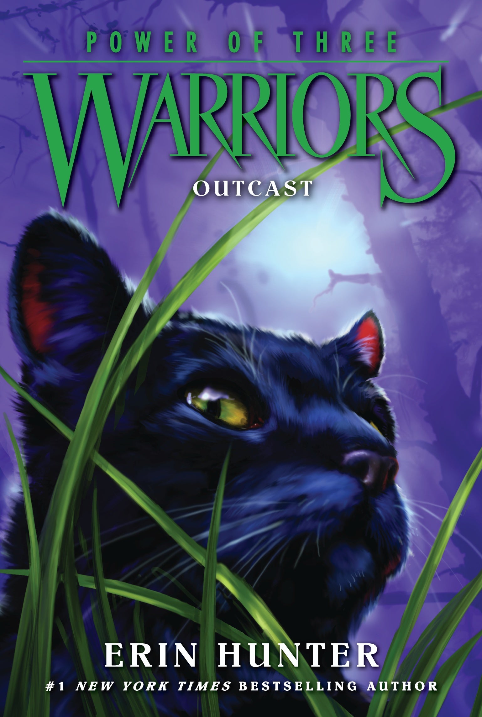 Book 4- Eclipse (Power of Three)  Warrior cats books, Warrior cats, Warrior